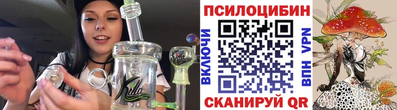 KRAKEN ССЫЛКА  продажа наркотиков  Куса  Галлюциногенные грибы Psilocybe 